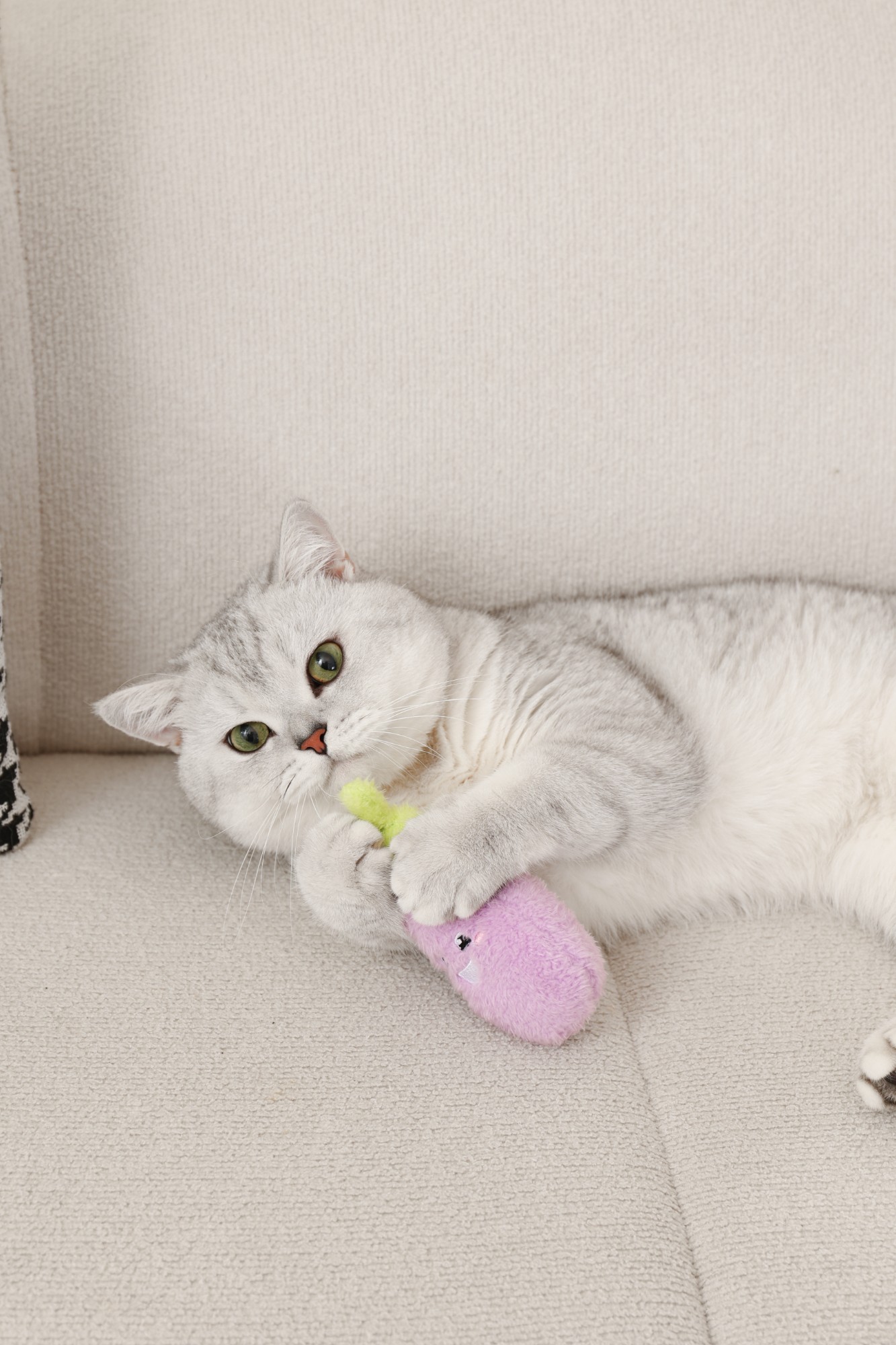 Cute Purple Eggplant Plush Cat Toy - Interactive Vegetable - Shaped Pet Play Toy