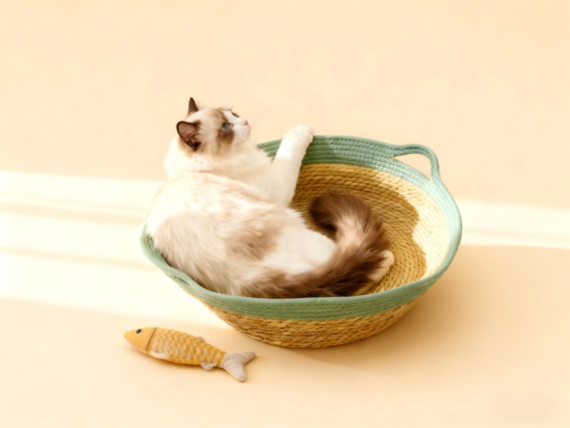 Handwoven Seagrass Cat Bed with Green Trim - Eco-Friendly Pet Nest for Cats