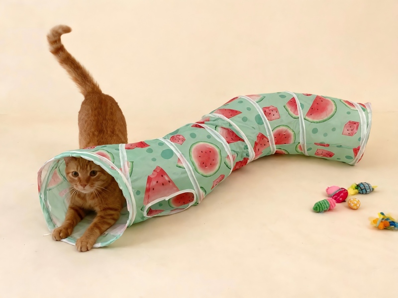 Watermelon Print Curved Cat Tunnel - Collapsible Interactive Cat Play Tube